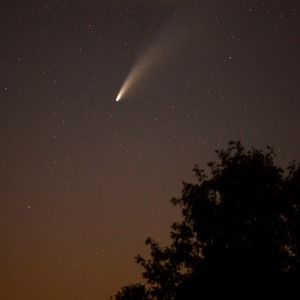 Meet your Posher, Dana